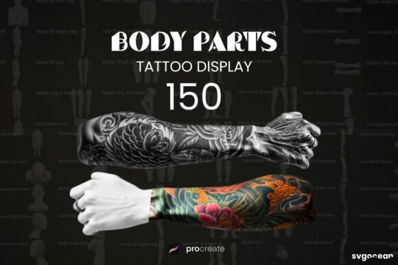 Download Procreate Body Parts Brushes Bundle - Bundle Collection