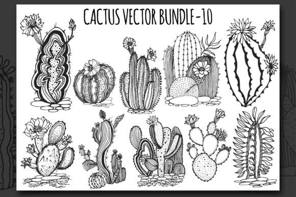 Download Cactus Vector Bundle-10 - Bundle Collection