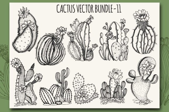 Download Cactus Vector Bundle-11 - Bundle Collection