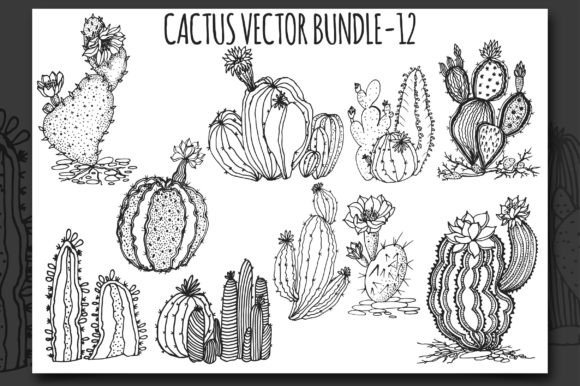 Download Cactus Vector Bundle-12 - Bundle Collection