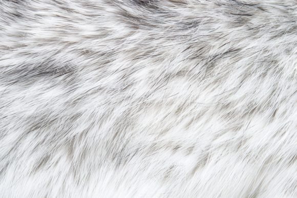 Download Soft Fur Texture - Premium Bundle
