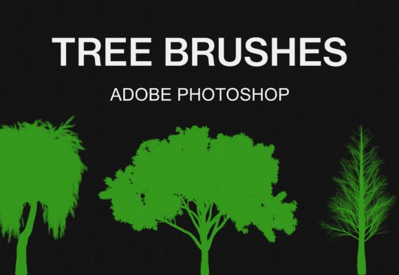 Download Photoshop Tree Brushes Pack Bundle - Bundle Collection