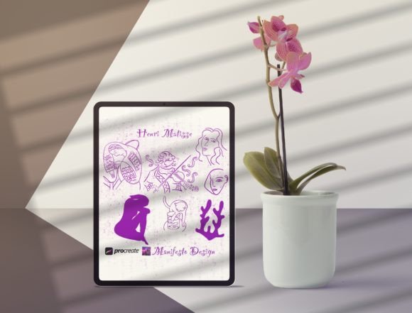 Download Matisse’s Line Art Procreate BUNDLE V 5 - Bundle Collection